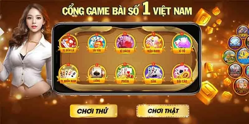 Một số loại hình phổ biến mà thành viên cần nắm