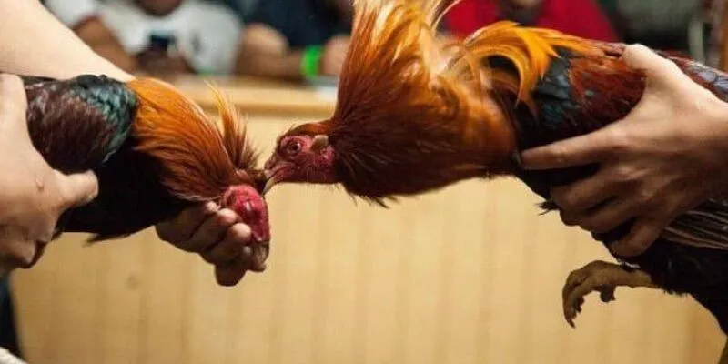 Những mẹo chơi hiệu quả từ các kê thủ tại trang game